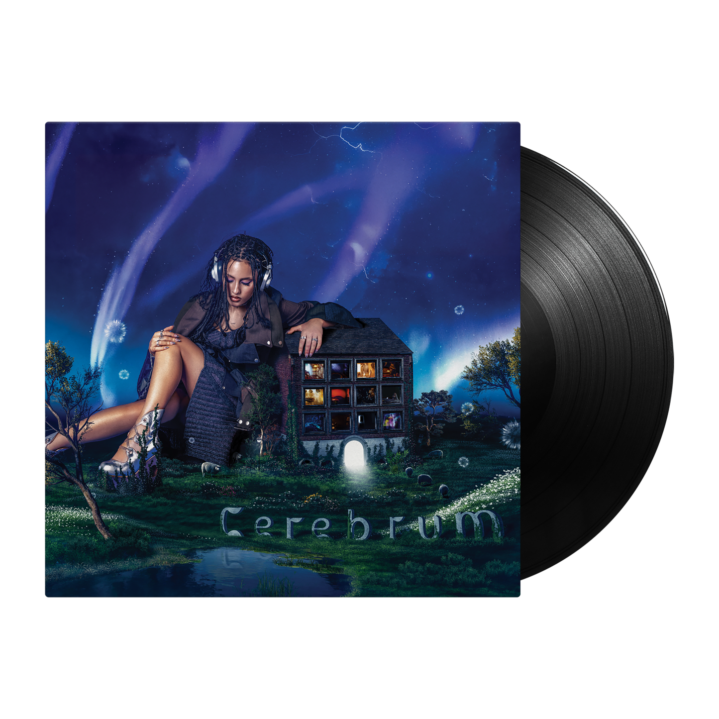 Cerebrum Vinyl